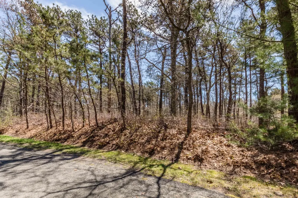 6 Majors Cove Lane Edgartown MA 02539