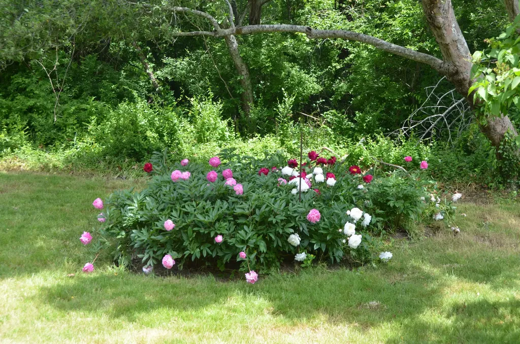 129 Hines Point Vineyard Haven MA 02568
