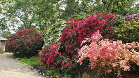 145 Lagoon Avenue Vineyard Haven MA 02568