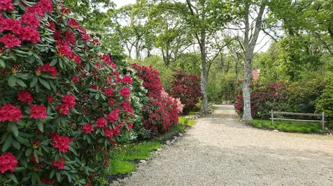 145 Lagoon Avenue Vineyard Haven MA 02568