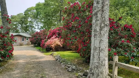 145 Lagoon Avenue Vineyard Haven MA 02568