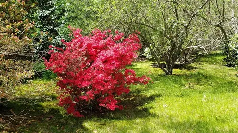 145 Lagoon Avenue Vineyard Haven MA 02568