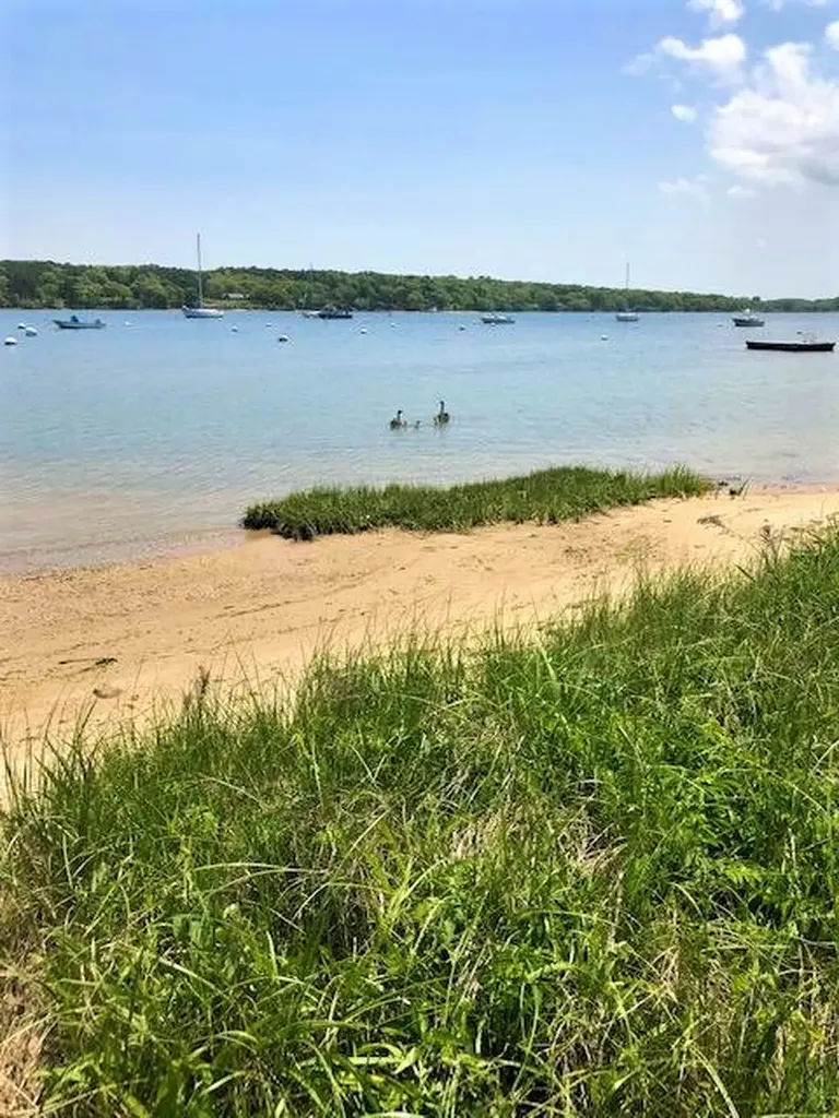 3 Hines Point Road Vineyard Haven MA 02568