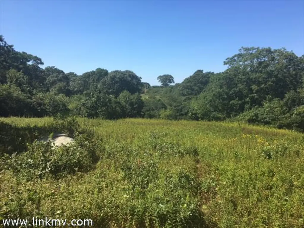 11 High Meadow Chilmark MA 02535