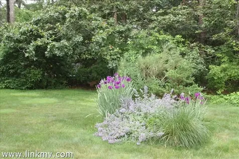 7 Quail Run Oak Bluffs MA 02557