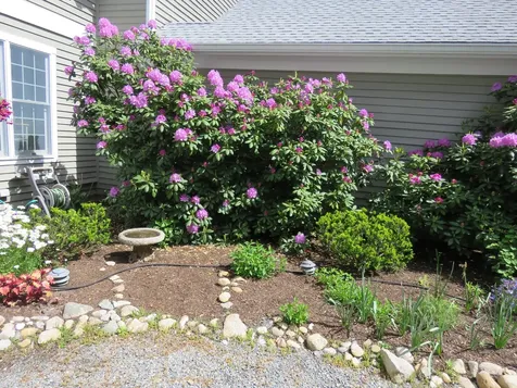 188 Sandpiper Lane Vineyard Haven MA 02568