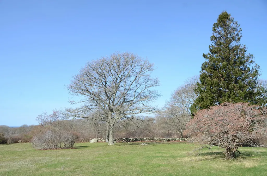 11 Homeward Way Chilmark MA 02535