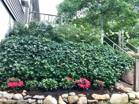 106 Colonial Drive Vineyard Haven MA 02568