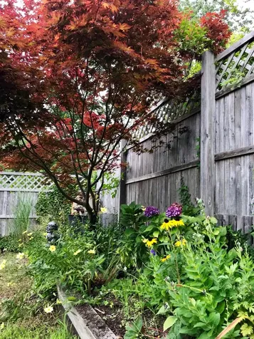 106 Colonial Drive Vineyard Haven MA 02568