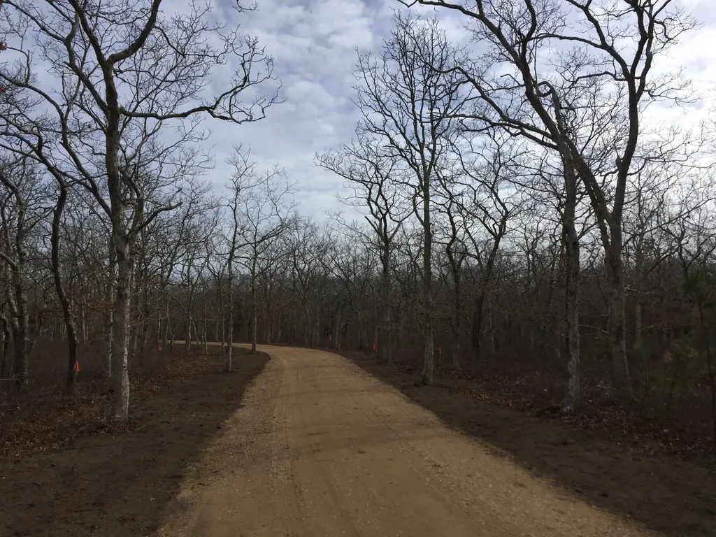 Lot A Baylies Way Edgartown MA 02535