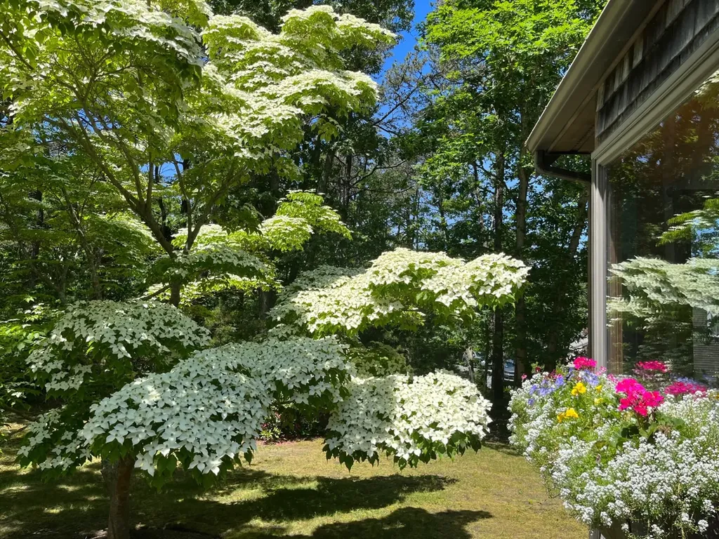 50 Pondview Drive Oak Bluffs MA 02557
