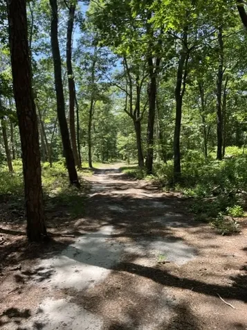 242 Herring Creek Road Vineyard Haven MA 02568