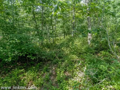 0 Red Farm Road West Tisbury MA 02575