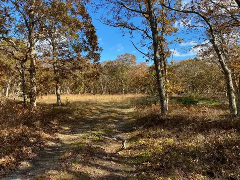 11 Brown Road Edgartown MA 02539