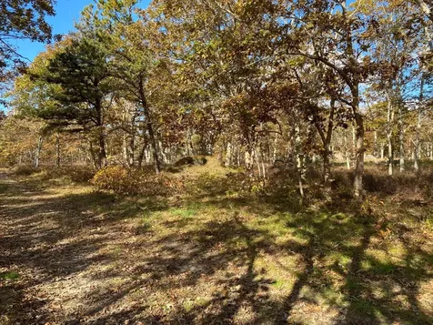 11 Brown Road Edgartown MA 02539