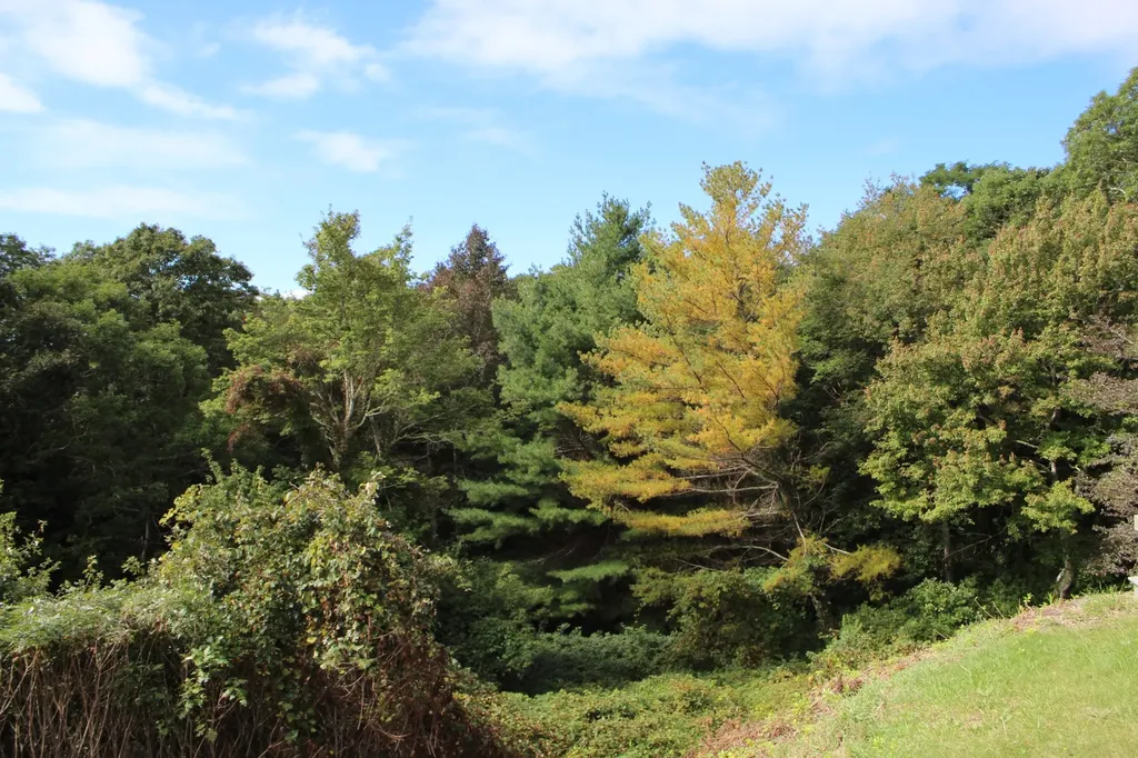 55 Old House Way West Tisbury MA 02575