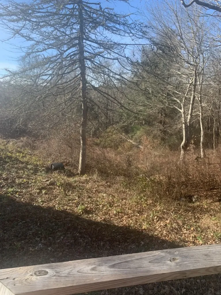 55 Old House Way West Tisbury MA 02575