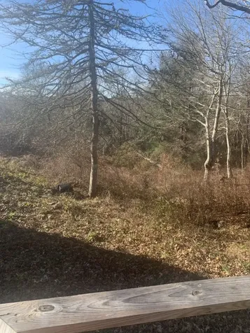 55 Old House Way West Tisbury MA 02575