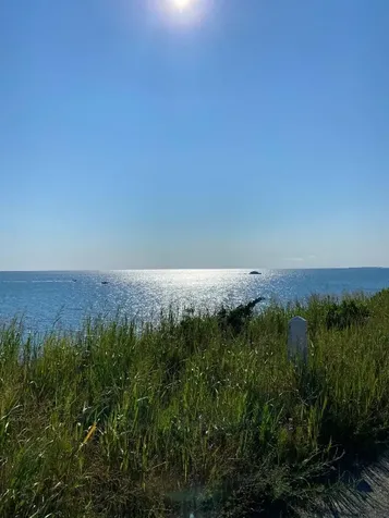 6 Brewster Avenue Oak Bluffs MA 02557