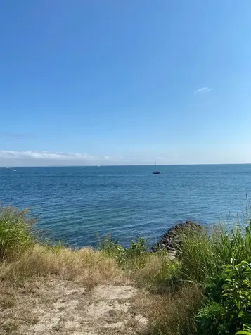 6 Brewster Avenue Oak Bluffs MA 02557