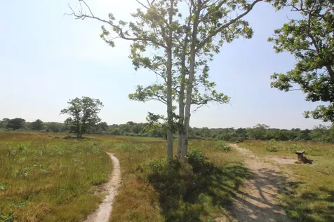 84 Eighteenth Street South Edgartown MA 02539