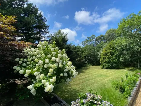 11 Sparrow Lane Edgartown MA 02539
