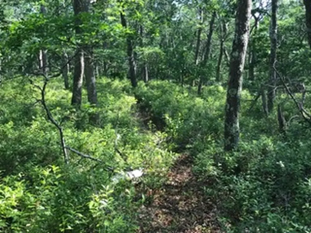 0 Takemmy Path West Tisbury MA 02575
