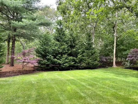 41 Bayes Hill Road Oak Bluffs MA 02539-4427