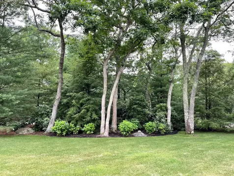 41 Bayes Hill Road Oak Bluffs MA 02539-4427