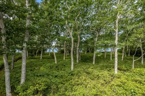 65 Kanomika Road Edgartown MA 02539