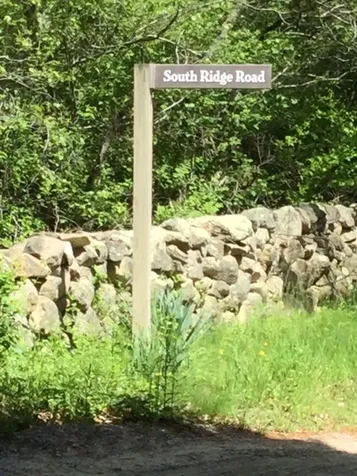 46 South Ridge Road Chilmark MA 02535