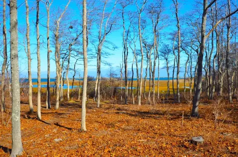 289 The Boulevard Edgartown MA 02539