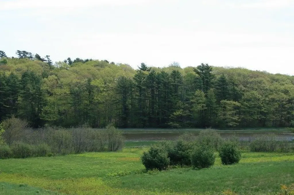 00 Back Meadow Drive Warren ME 04864
