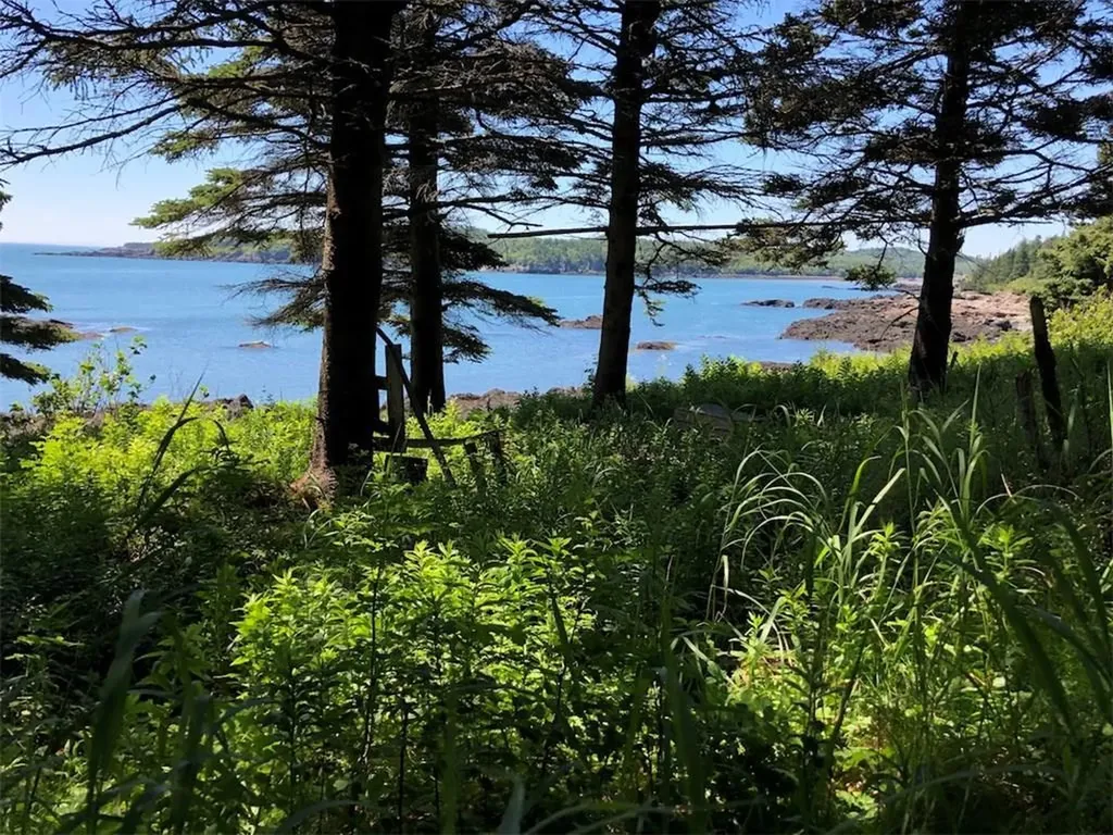 Lot 98-8 Eastern Head Road Trescott Twp ME 04652