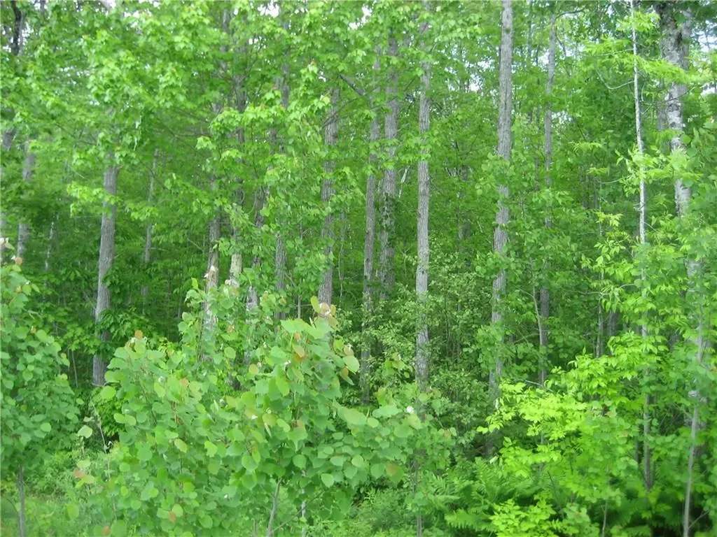 Lot 1 Quarry Trail South Thomaston ME 04858
