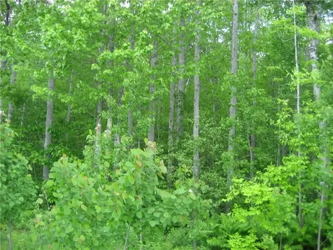 Lot 1 Quarry Trail South Thomaston ME 04858