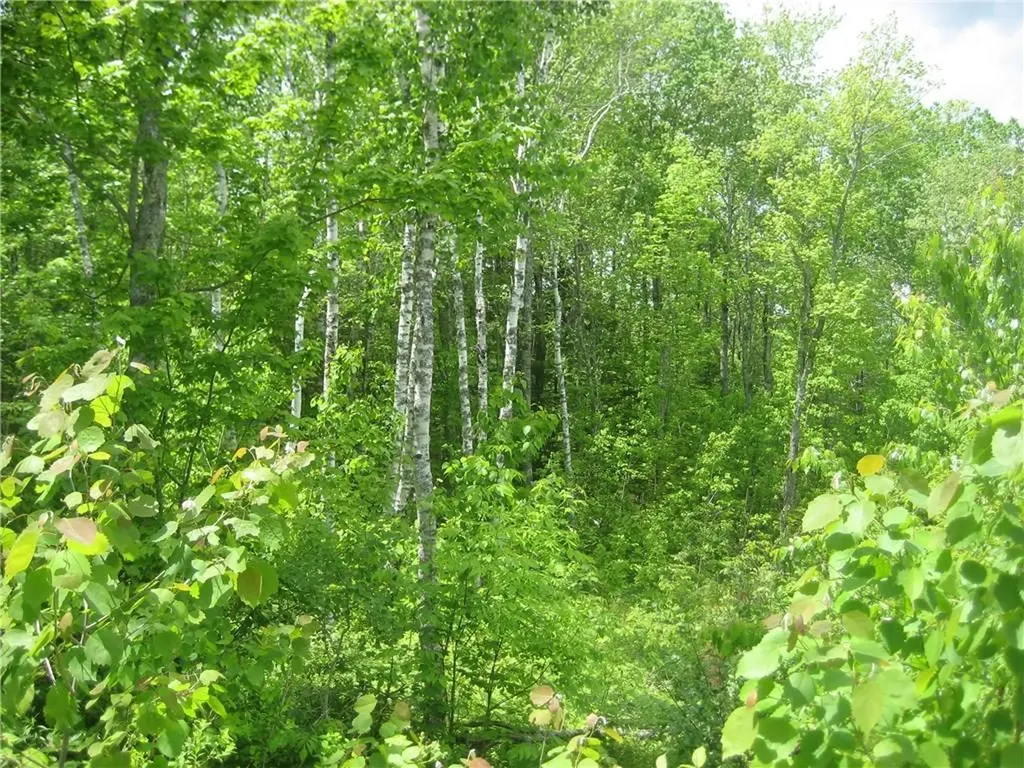 Lot 14 Quarry Trail South Thomaston ME 04858
