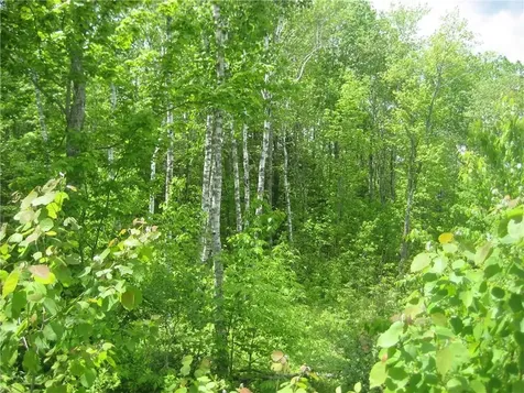 Lot 14 Quarry Trail South Thomaston ME 04858