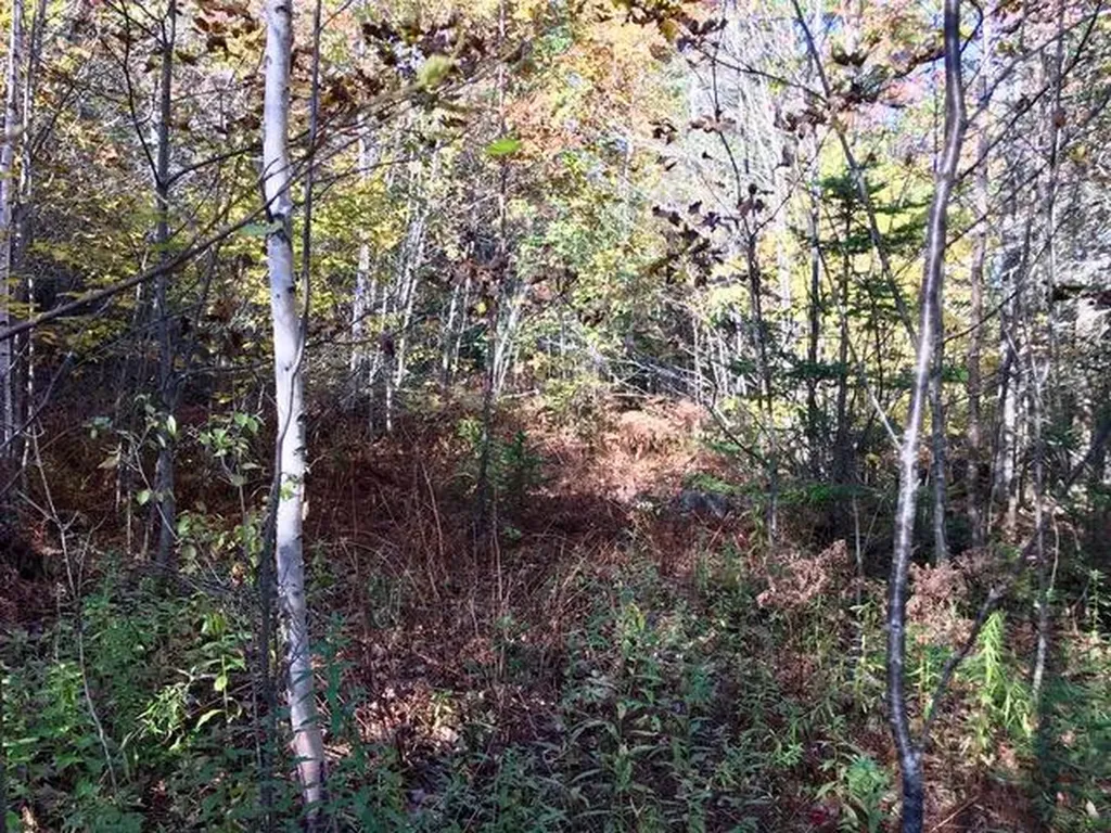 631 Town House Road Swanville ME 04915