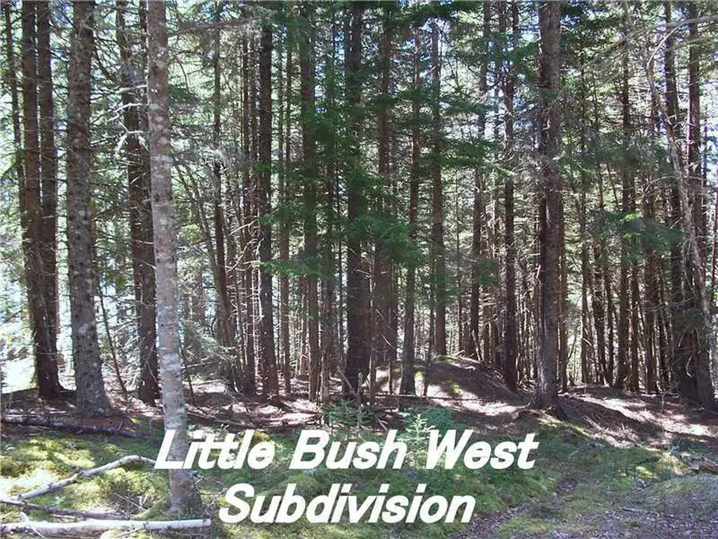 Lot 4 Us Route 191 Little Bush West East Machias ME 04630