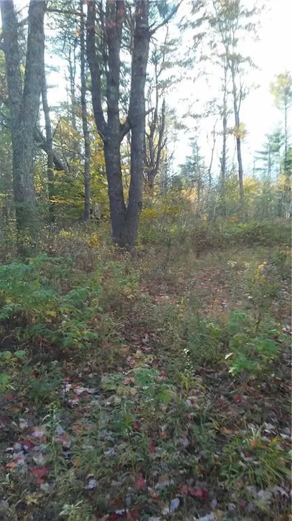 00 W Appleton Road Appleton ME 04862