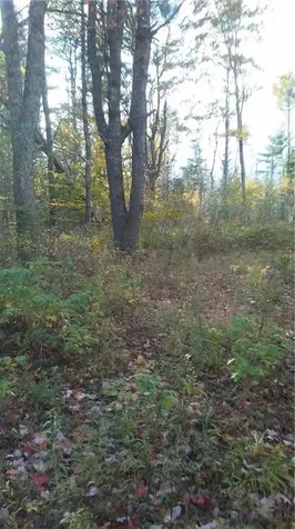 00 W Appleton Road Appleton ME 04862