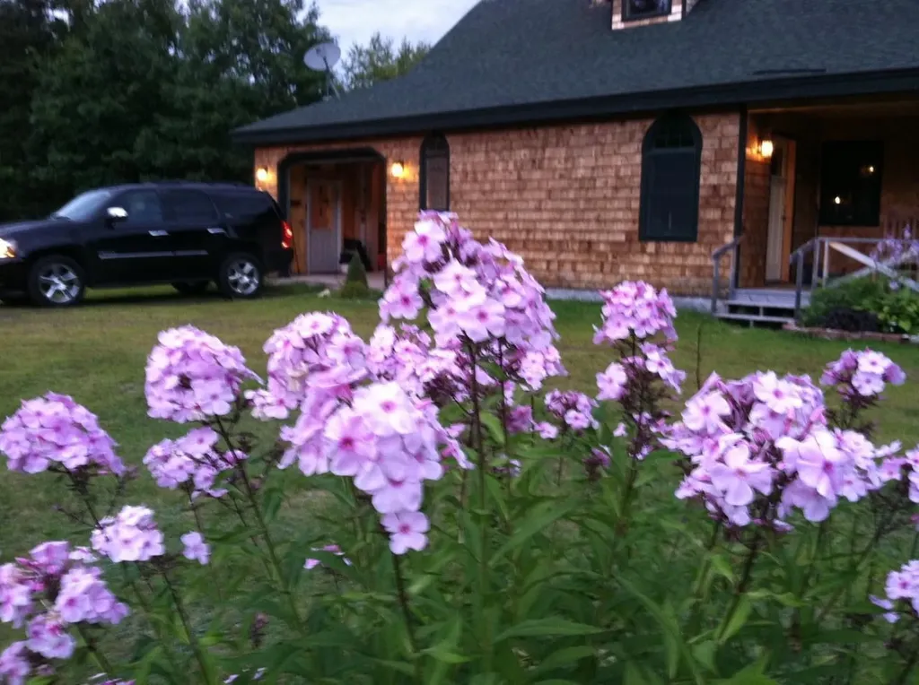 3 Pond Road Abbot ME 04406
