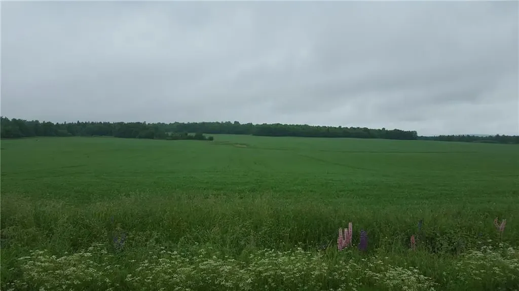 124 Tangle Ridge Road Perham ME 04766