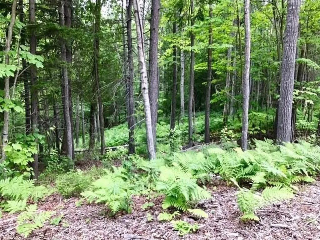 0 Otter Creek Drive Bar Harbor ME 04609