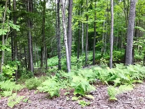 0 Otter Creek Drive Bar Harbor ME 04609