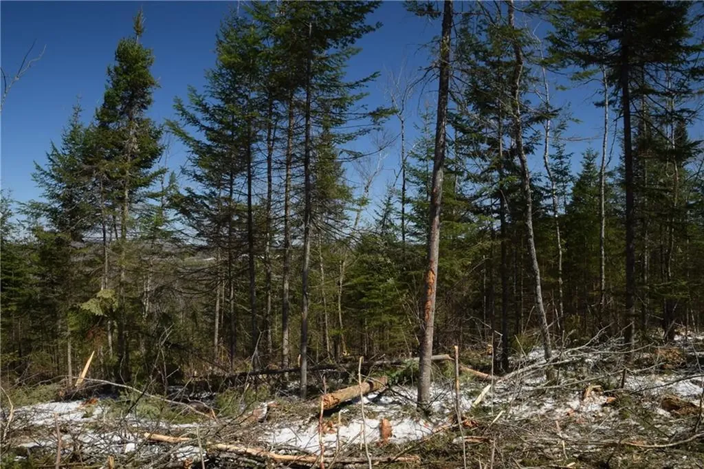 1 Route 11 Portage Lake ME 04768