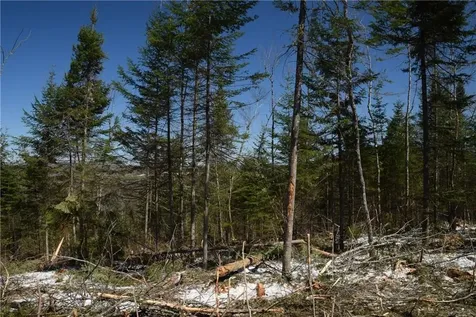 1 Route 11 Portage Lake ME 04768
