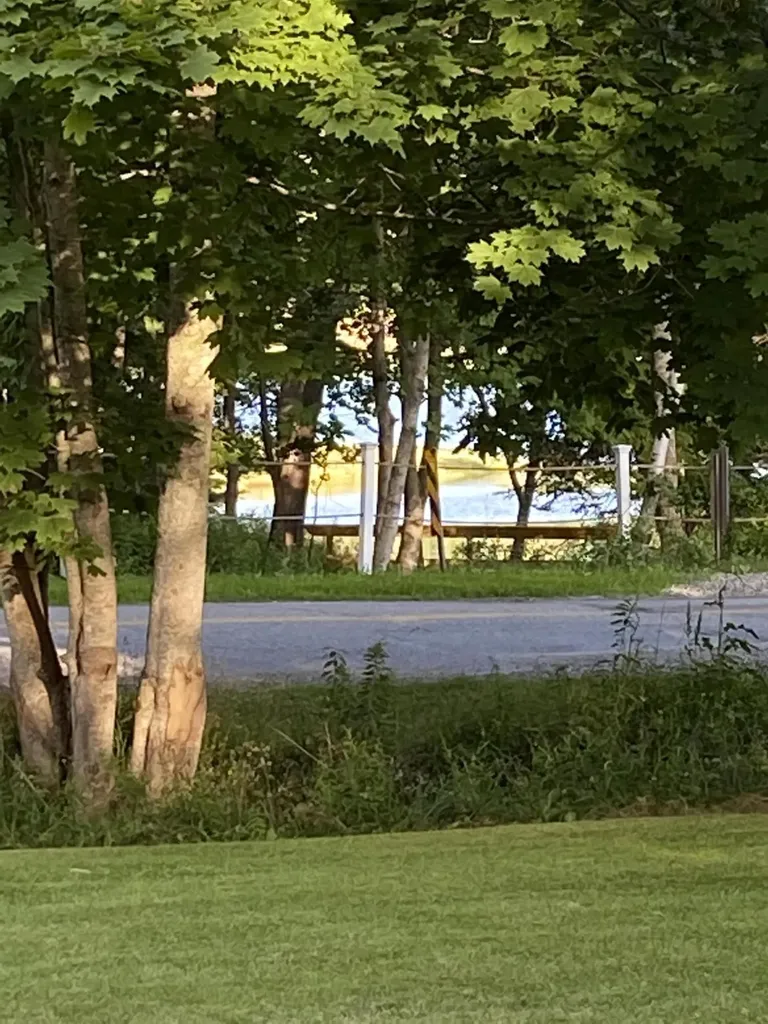 503 Pendleton Point Road Islesboro ME 04848