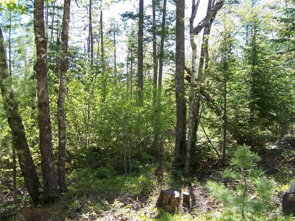 501 Bert Gray Road Sullivan ME 04664